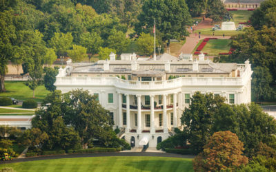 ویلز: برنده‌ی انتخابات ریاست جمهوری افغانستان باید روی یک تیم مذاکره‌کننده کار کند