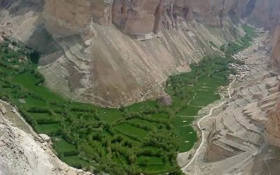 طالبان یک بزرگ قومی را با دستمال خفه کردند